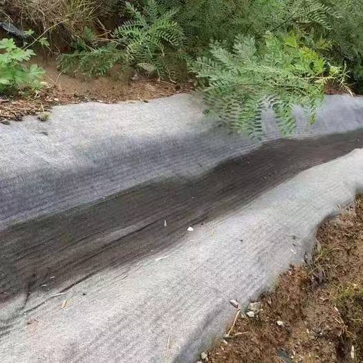 晟展水泥毯生产厂家-水泥毯的详细资料